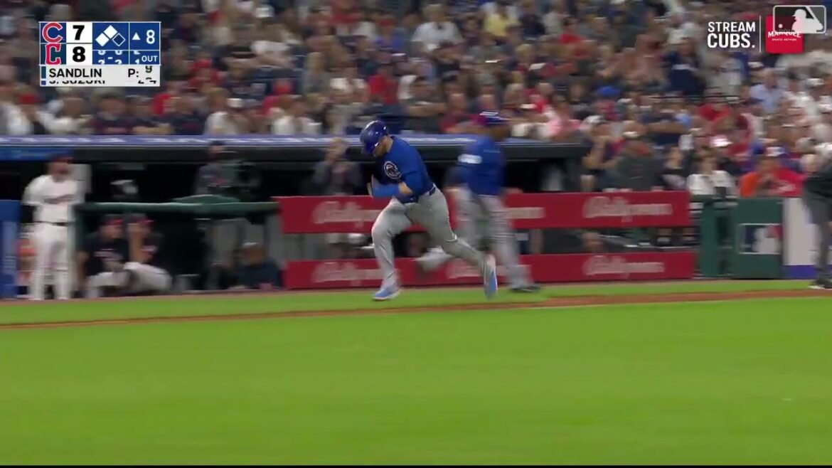 Seiya Suzuki's Sacrifice Fly