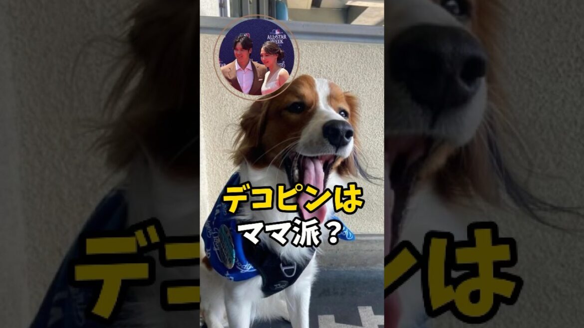 [Shohei Otani]Do you prefer moms for the headbutt? 😍🐶 #shorts #baseball #Shohei Otani #mlb