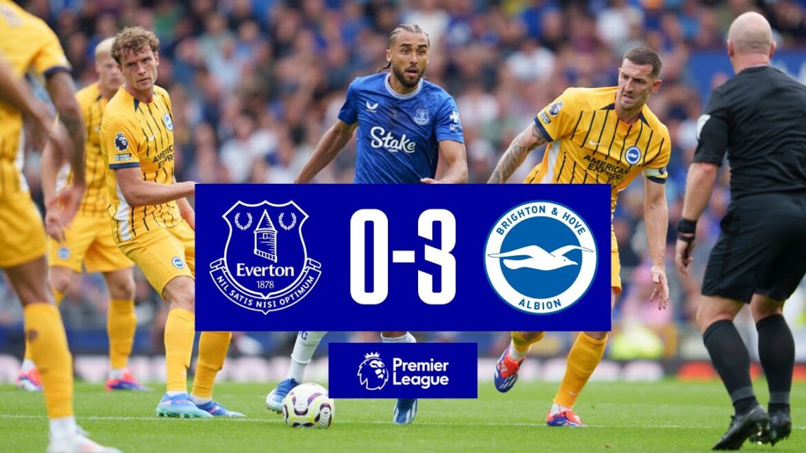 EVERTON 0-3 BRIGHTON | Premier League highlights