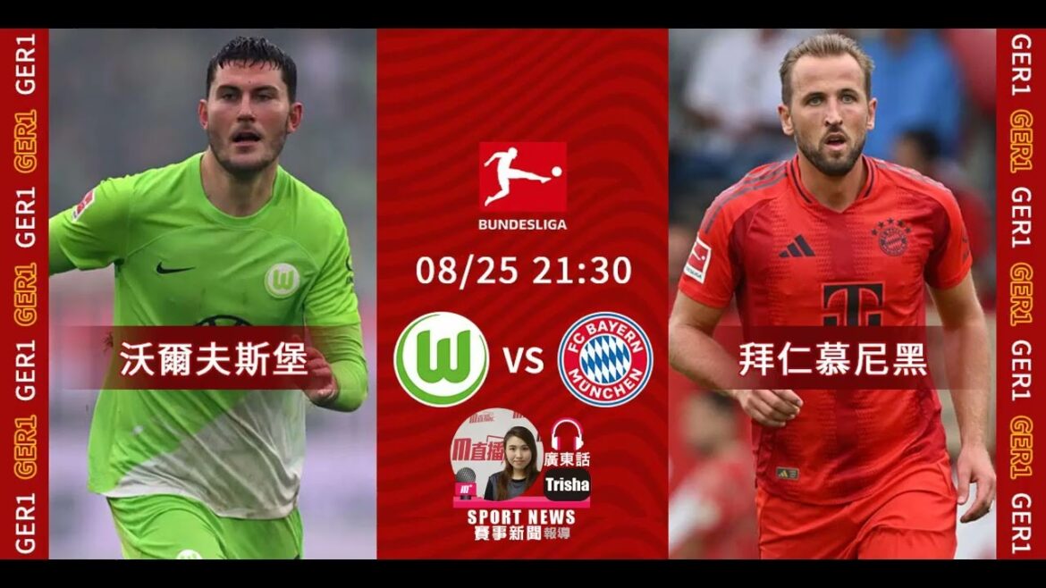 [Before the Bundesliga match]2024-08-25 Wolfsburg VS Bayern Munich | Bayern can expect to win the "Fort" [聲音報導: Trisha]