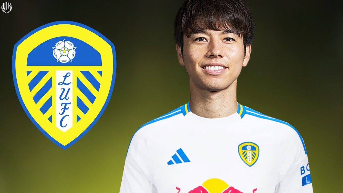 Ao Tanaka - Welcome to Leeds United 2024 - Skills, Passes & Goals | HD