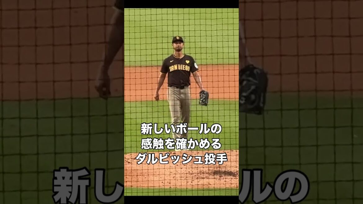 The presence is amazing.