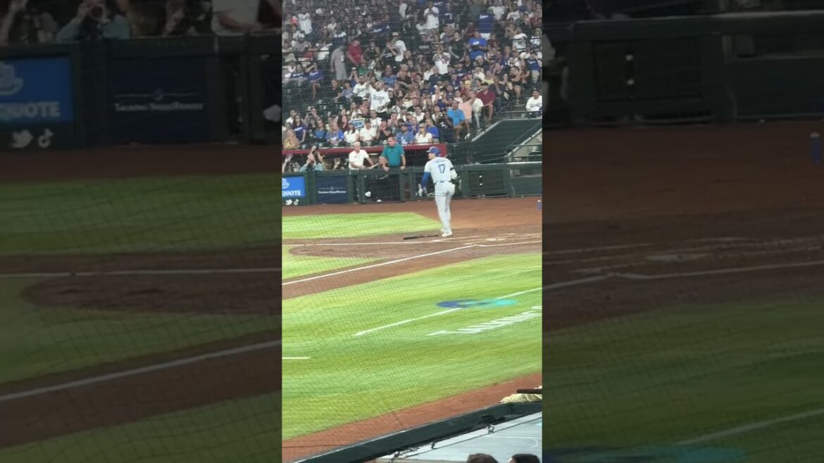 Shohei Ohtani Gets Hit By Pitch 8/30/24 #mlb #shoheiohtani