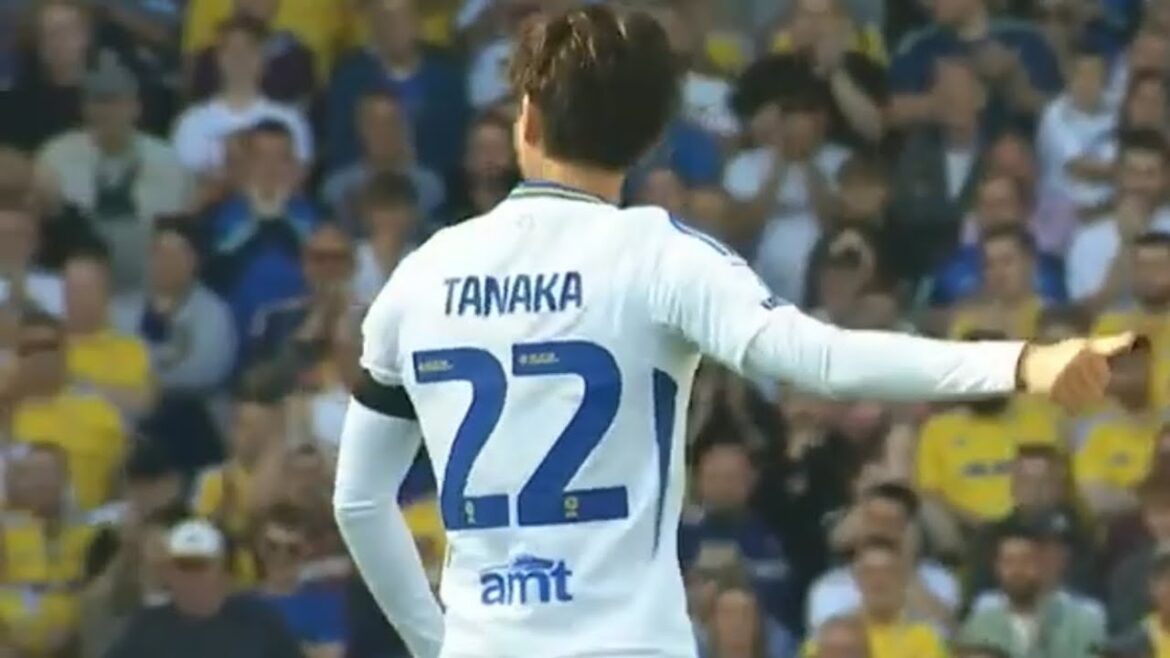 Aoi Tanaka August 31