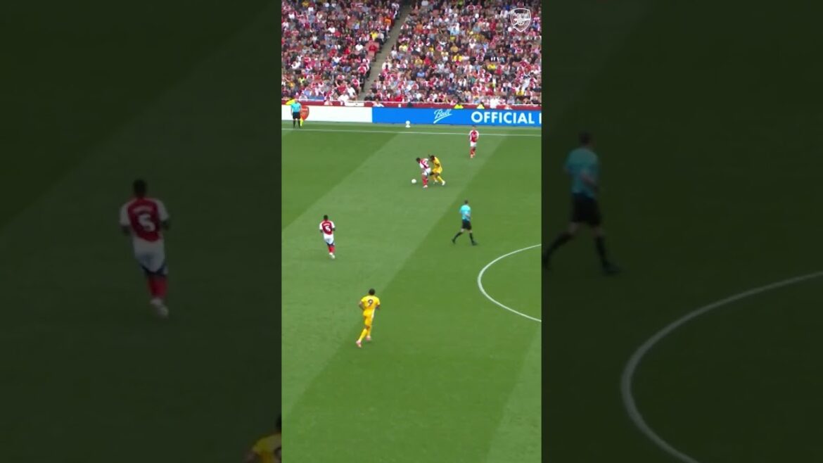 COOLNESS. JURRIEN TIMBER SKILLS 🥶 COOLNESS. JURRIEN TIMBER SKILLS 🥶