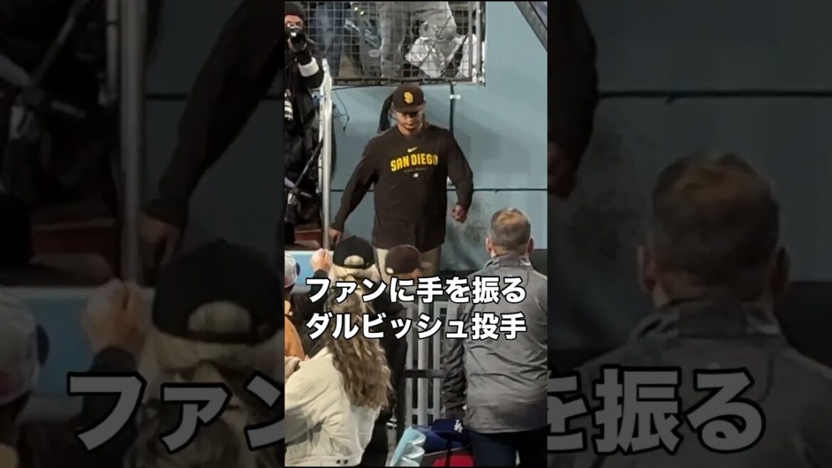 You always care about your fans You always care about your fans