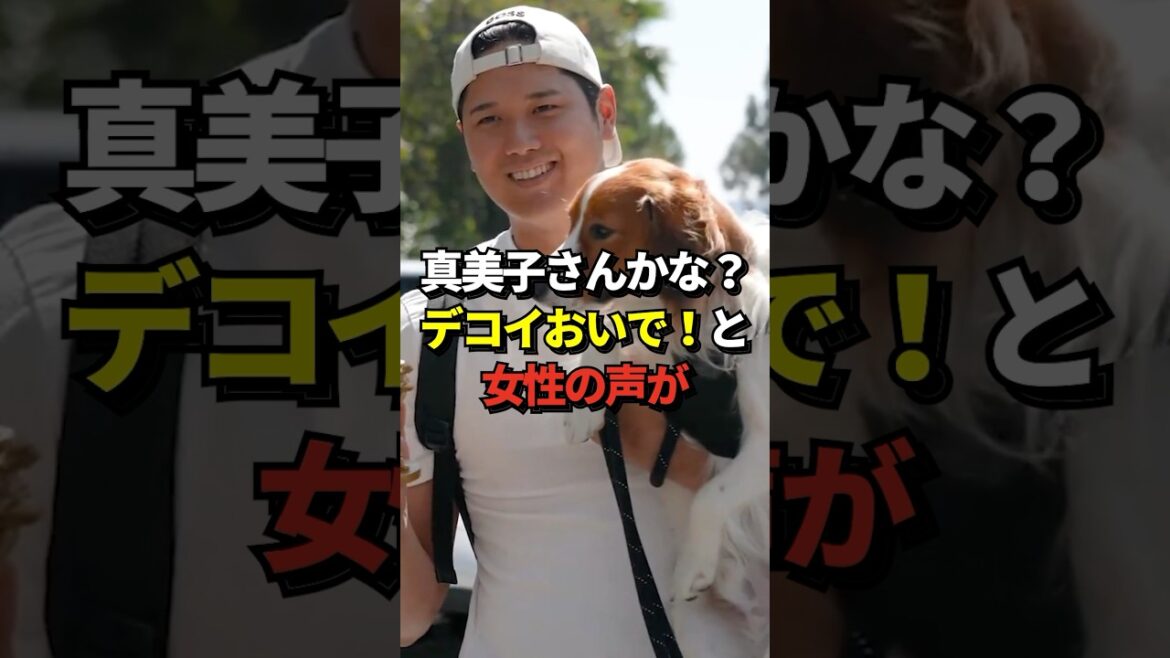 ㊗️700,000 views! ※Voice included A woman calls out to Shohei Otani as he holds her and smacks her forehead, saying, “Come on, decoy!” People are talking about whether she is his wife, Mamiko! #shorts #ShoheiOtani #baseball ㊗️700,000 views! ※Voice included A woman calls out to Shohei Otani as he holds her and smacks her forehead, saying, "Come on, decoy!" People are talking about whether she is his wife, Mamiko! #shorts #ShoheiOtani #baseball