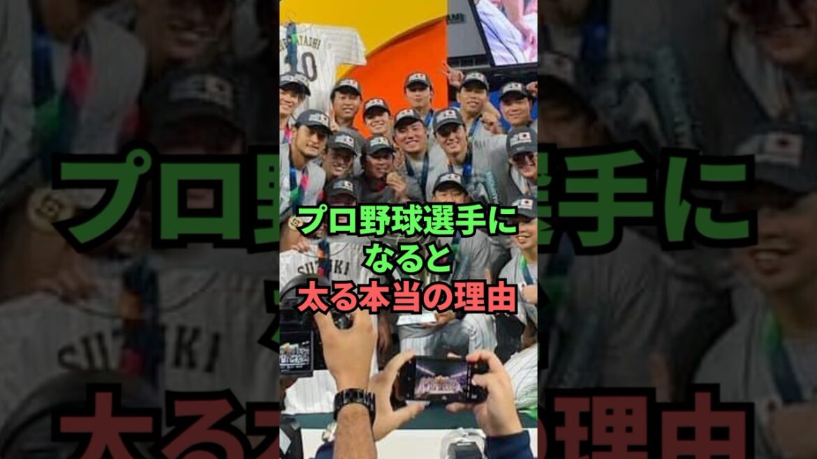 The real reason why professional baseball players gain weight