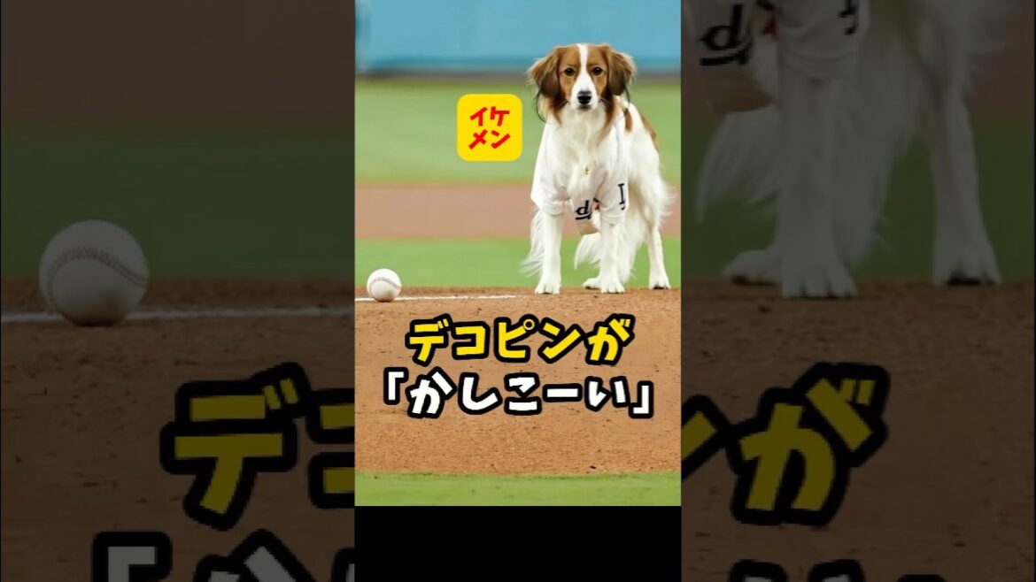 [Shohei Otani]The forehead flick is "smart" 🐶😍 #shorts #baseball #Shohei Otani #mlb