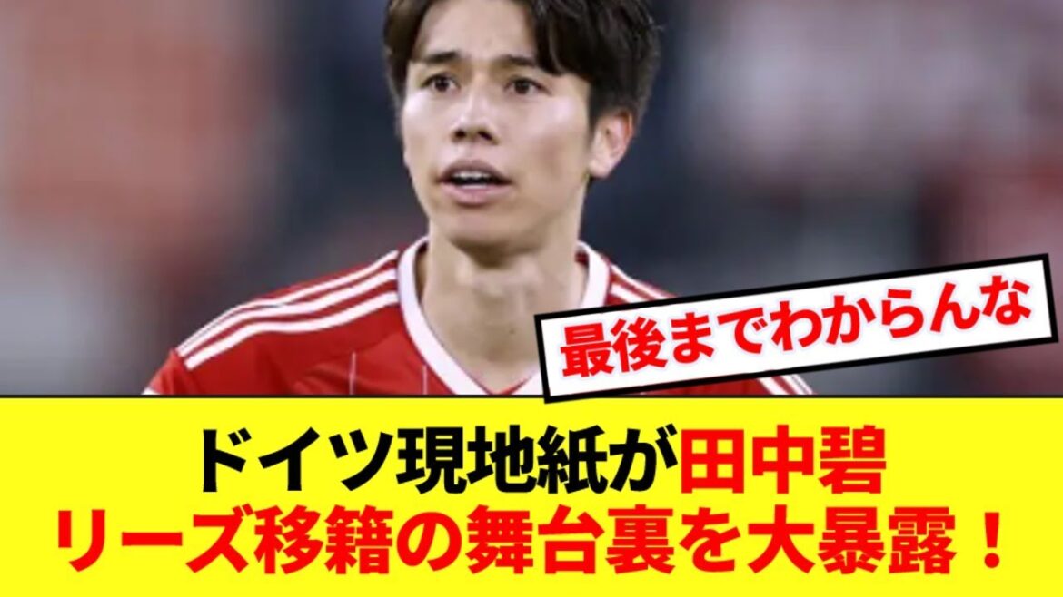 [Surprising]German local media says Ao Tanaka's transfer to Leeds was unexpected!!!