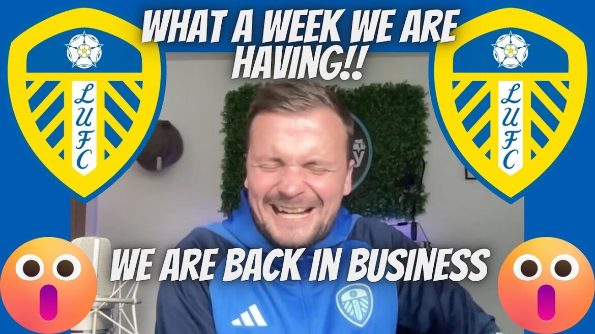 SIGNINGS EVERYWHERE!! Ao Tanaka FINISHED SCHOOL!! Soloman THOUGHTS!! SIGNINGS EVERYWHERE!! Ao Tanaka FINISHED SCHOOL!! Soloman THOUGHTS!!