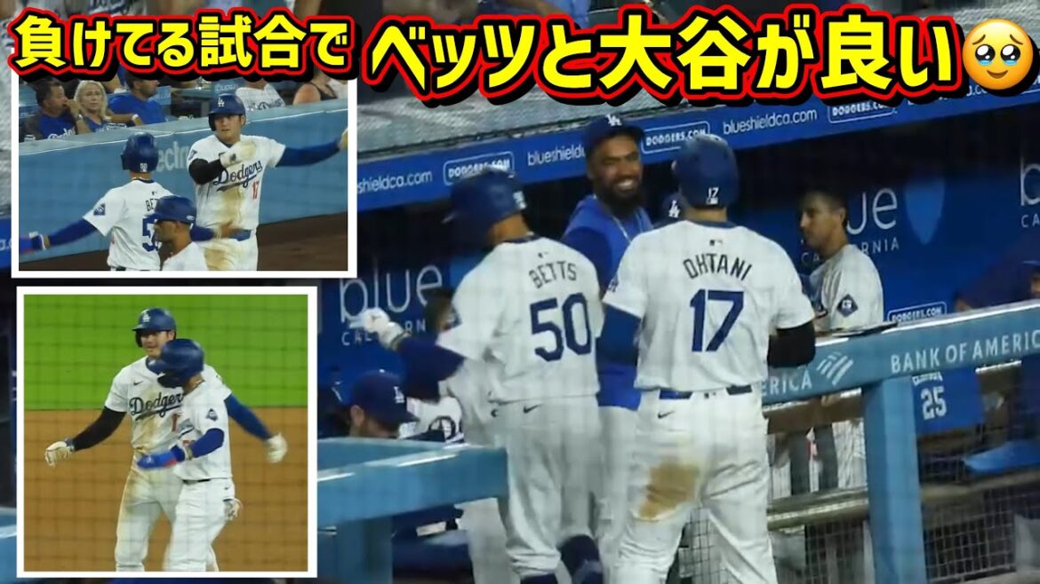 The best‼️Mookie Betts and Shohei Ohtani respect each other🥹【Local video】9/9 vs Cubs Shohei Ohtani Dodgers