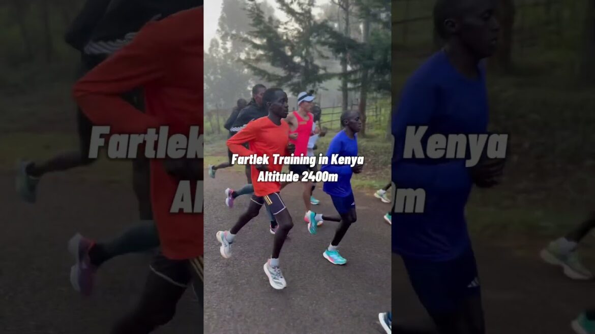 [Kenya training camp]Close coverage of Nozomi Tanaka's training camp in Kenya before the Paris Olympics! A fierce fartlek at an altitude of 2400m! #running #marathon #kenya