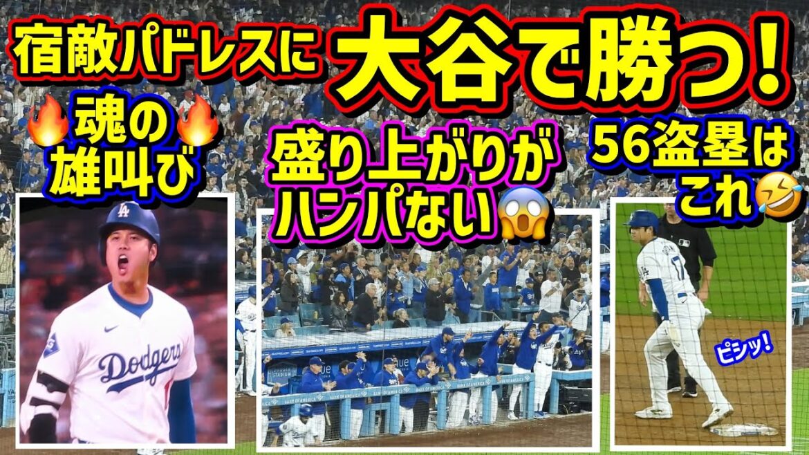 Scream!! ️ Beat the Padres at Ohtani 😠 Be careful of the volume ⚠️ 56 stolen bases are rare 🤣[Local video]9/25 vs Padres Shohei Ohtani