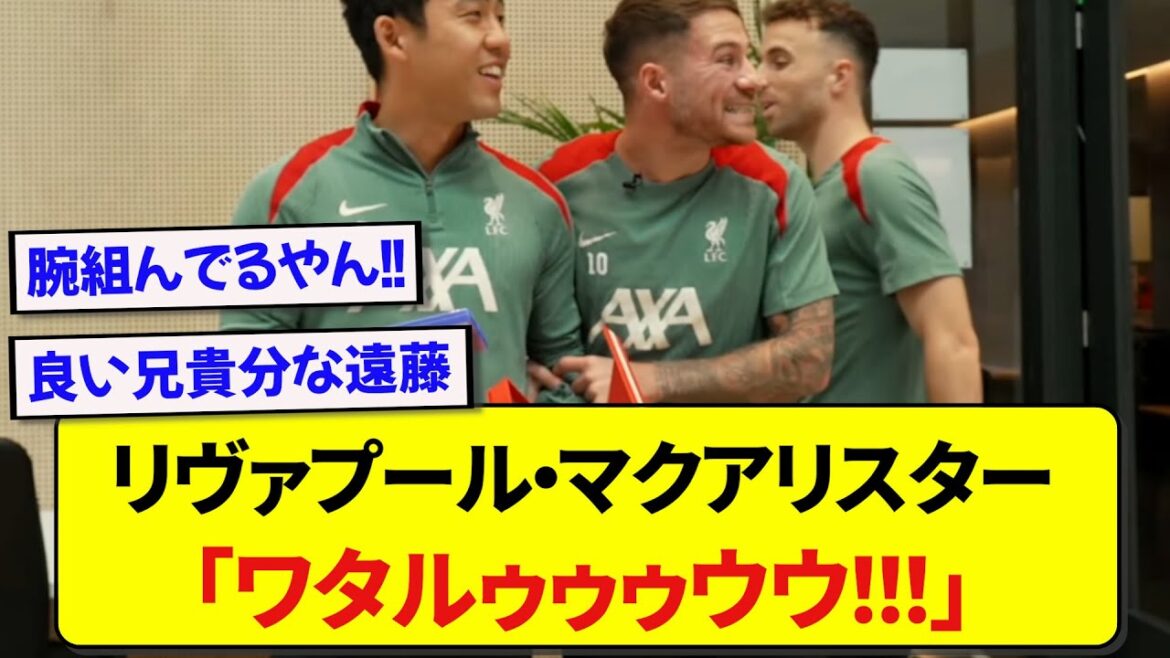 [Good news]Liverpool's McAllister is said to love Japanese representative Wataru Endo too much lol
