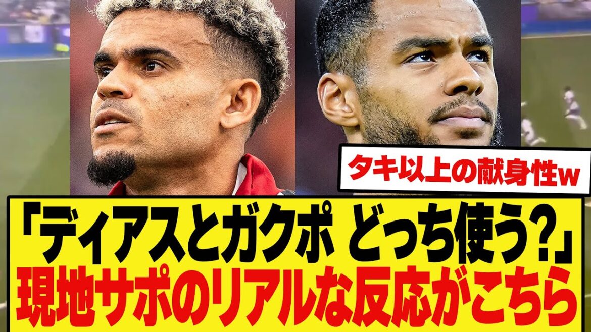 [Big debate]Here are the real reactions of local fans to "Which one should you use, Diaz or Gakupo?"