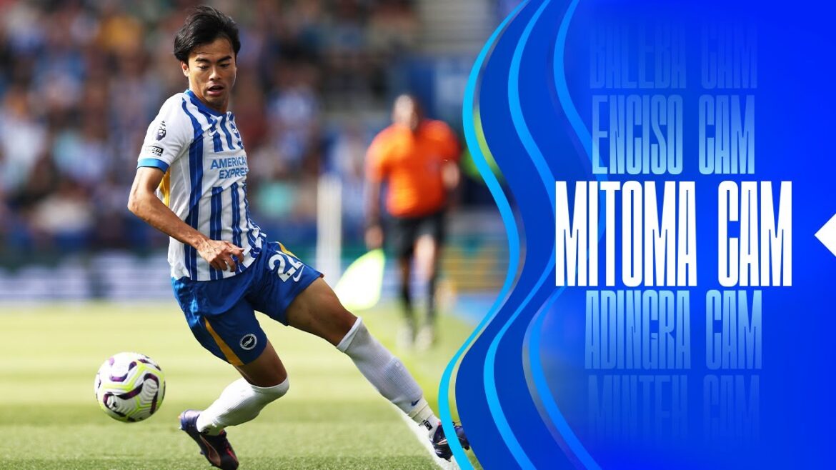 MITOMA CAM | Brighton v Ipswich 🎥