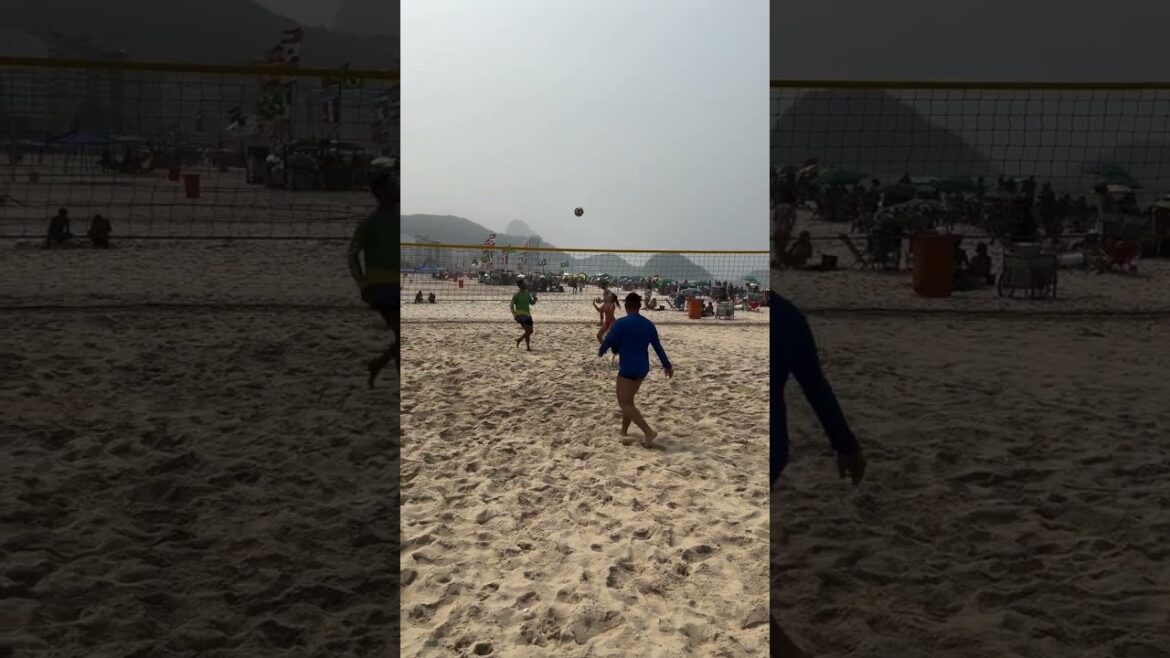 Find a better partner to play beach volleyball, we’ll wait… 🐶❤️📹: dog_altinha #Olympics #Paris2024 Find a better partner to play beach volleyball, we'll wait... 🐶❤️📹: dog_altinha #Olympics #Paris2024