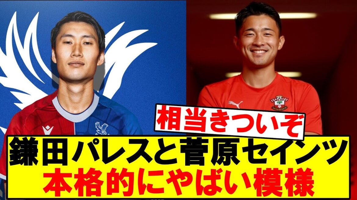 [Sad news]Kamata and Sugawara are likely to be demoted if this continues...