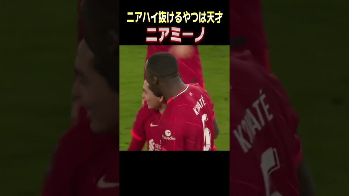 Niamino / Liverpool Takumi Minamino Southampton