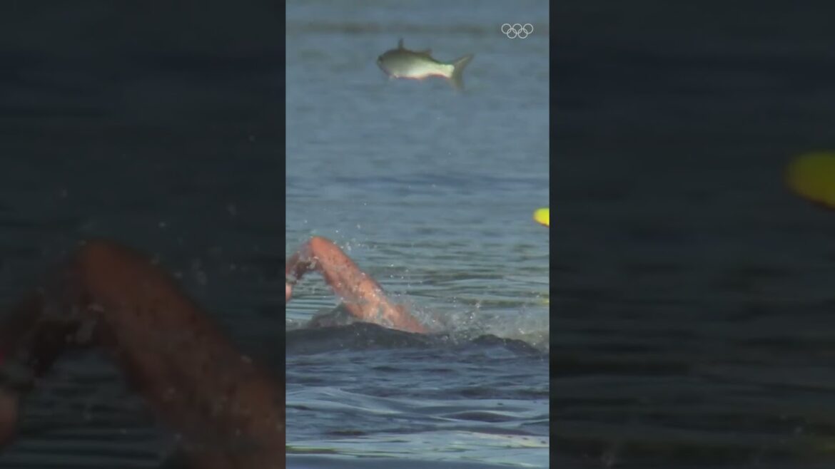 🐟 This fish joined in the marathon swimming at Tokyo 2020!