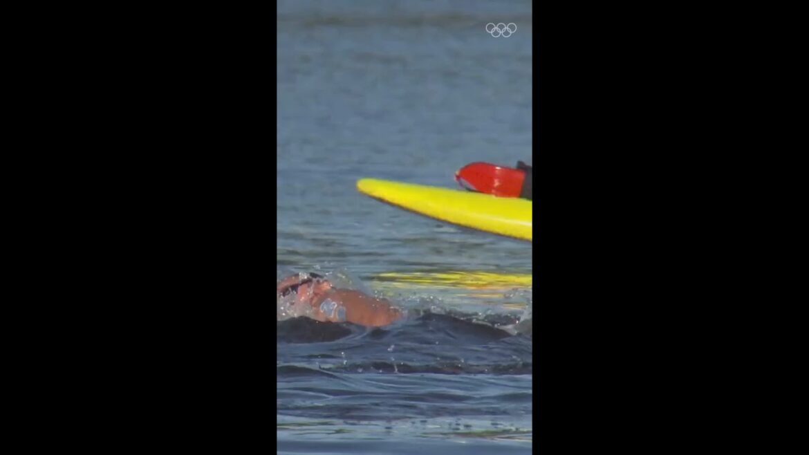 Medal for the fish? 🏅