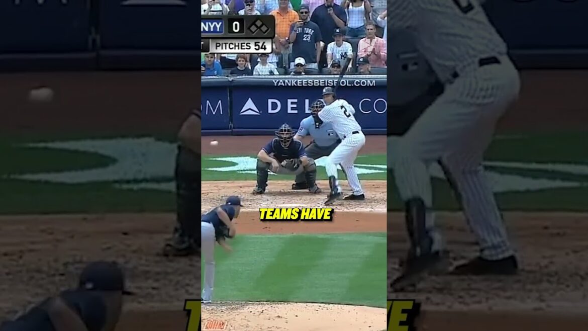 This is why the MLB couldn’t get back Shohei Ohtani’s 50th home run ball đź‘€ This is why the MLB couldn't get back Shohei Ohtani's 50th home run ball đź‘€