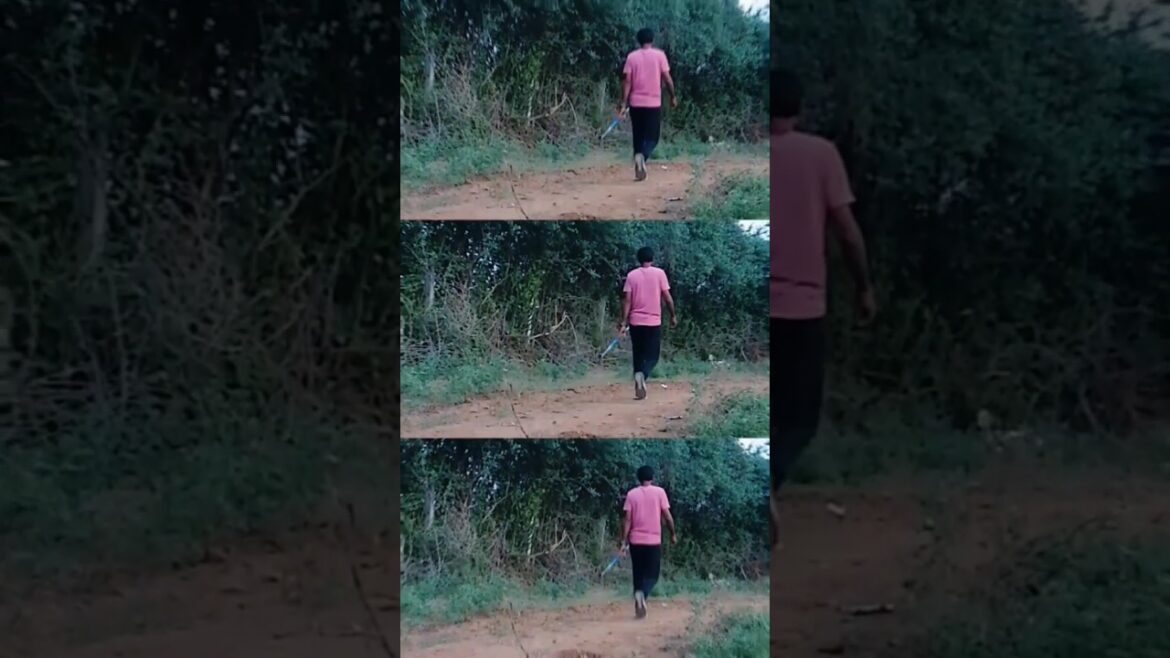 Evening ✨#jevlinthrow #shortsfeed #javelinthrow #javelin #athlete #neerajchopra #india #shorts #yt