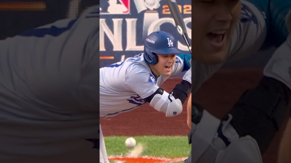 Shohei Ohtani almost got hit! 🚨 #mlb #baseball #Dodgers Shohei Ohtani almost got hit! 🚨 #mlb #baseball #Dodgers
