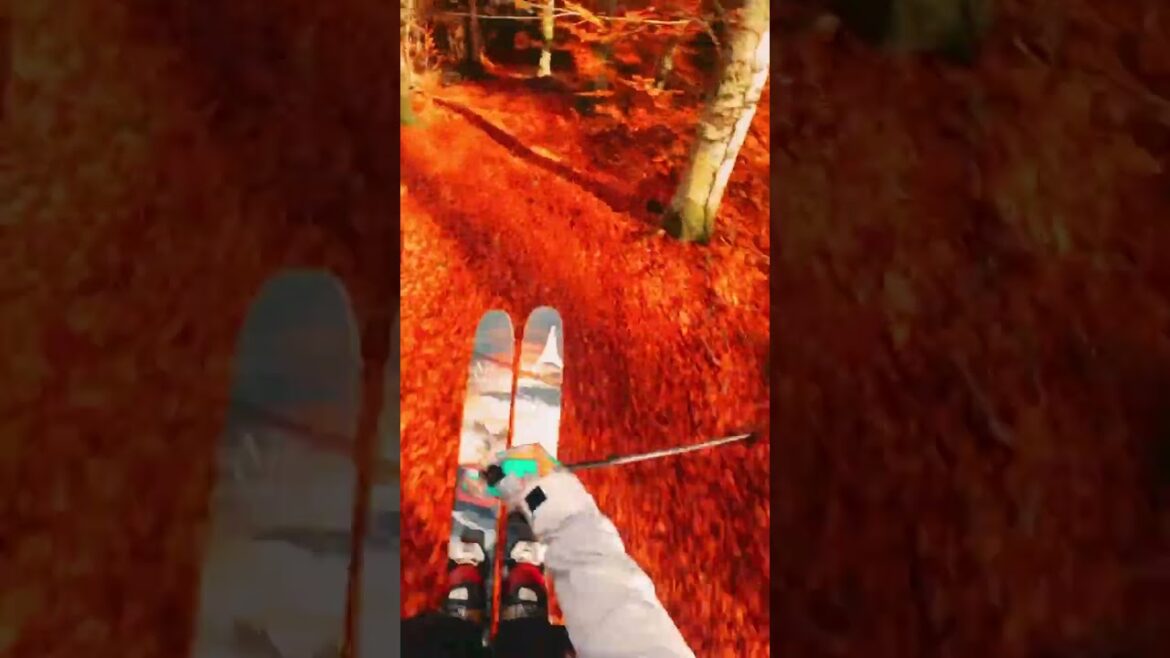 happy leaf season for those in it! 🍁 📹: anthonyroobert #Olympics