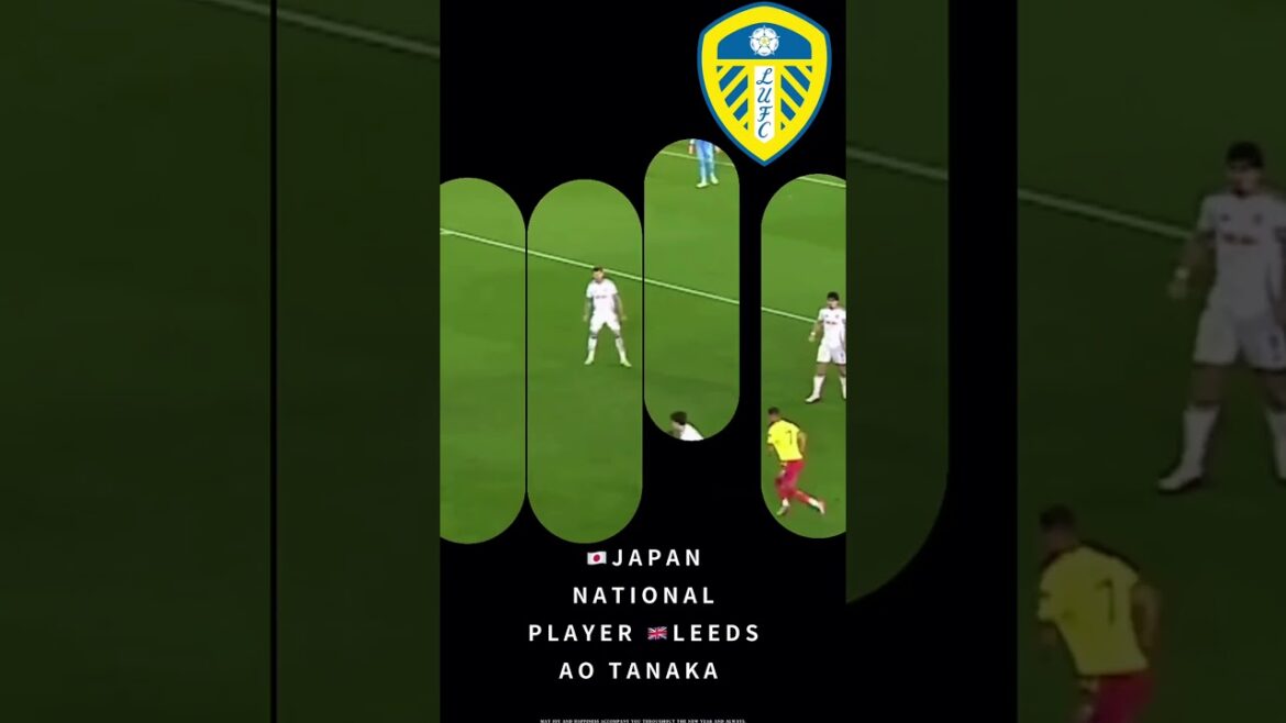 【Talent player Japan Ao Tanaka 】EFL Championship Leeds 【Talent player Japan Ao Tanaka 】EFL Championship Leeds
