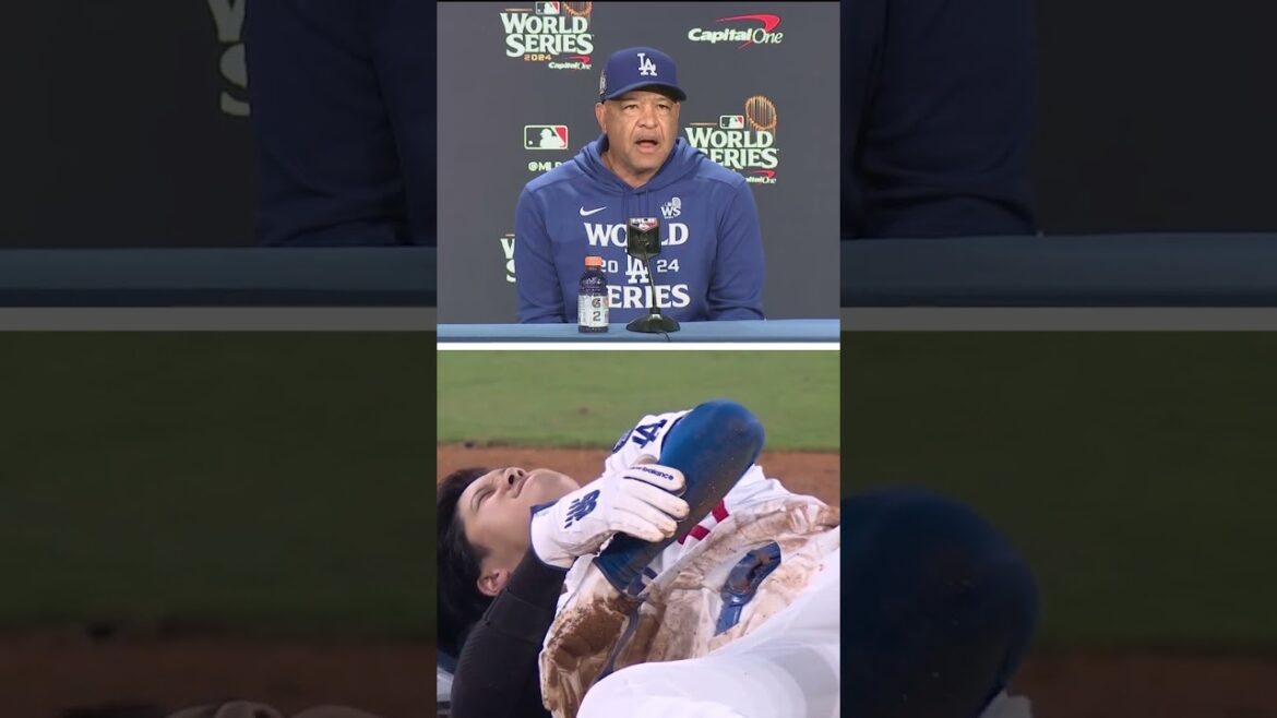 Dave Roberts provides update on Shohei Ohtani #mlb #baseball #Dodgers Dave Roberts provides update on Shohei Ohtani #mlb #baseball #Dodgers