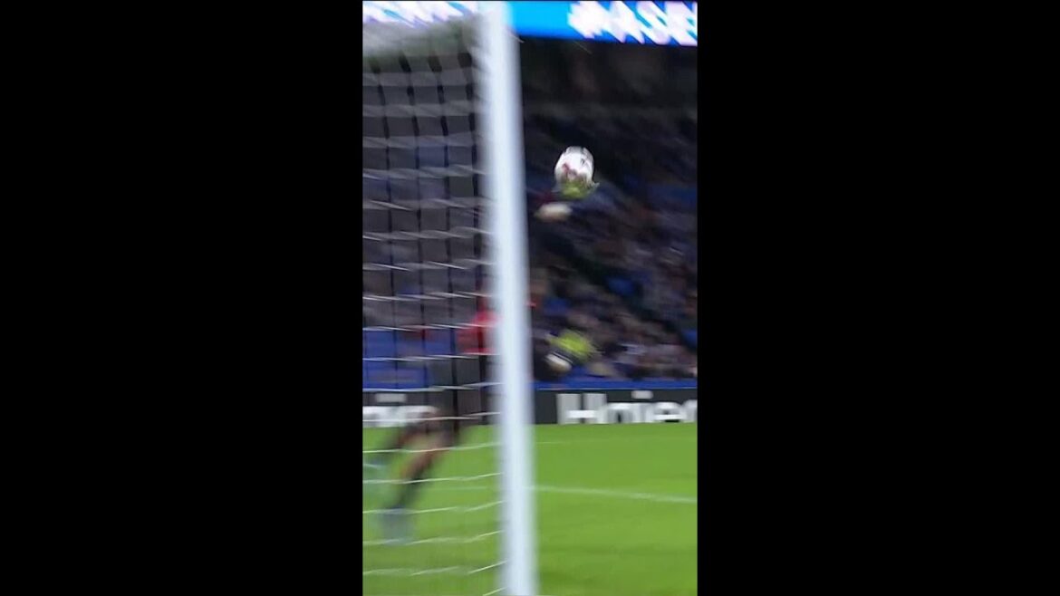 KUBO 🆚 HERRERA KUBO 🆚 HERRERA