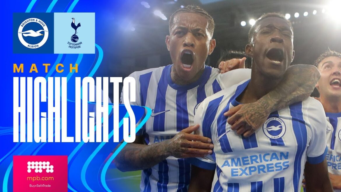HIGHLIGHTS | Brighton v Tottenham | Premier League