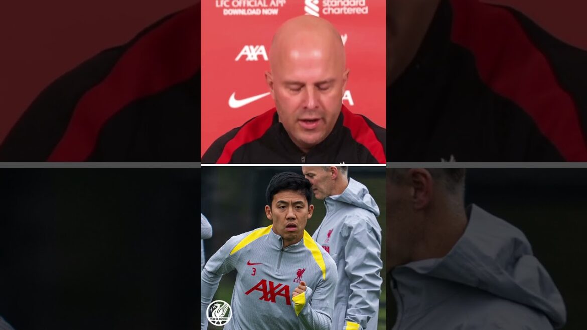 🇯🇵 Looks like we’ll be seeing Wataru Endo starting against Brighton then #lfc 🇯🇵 Looks like we'll be seeing Wataru Endo starting against Brighton then #lfc