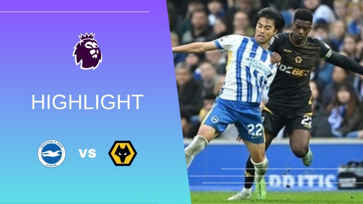 [Kaoru Mitoma Touch Collection][Premier League 2024-25 10-26]Brighton & Hove Albion FC vs Wolverhampton Wanderers FC