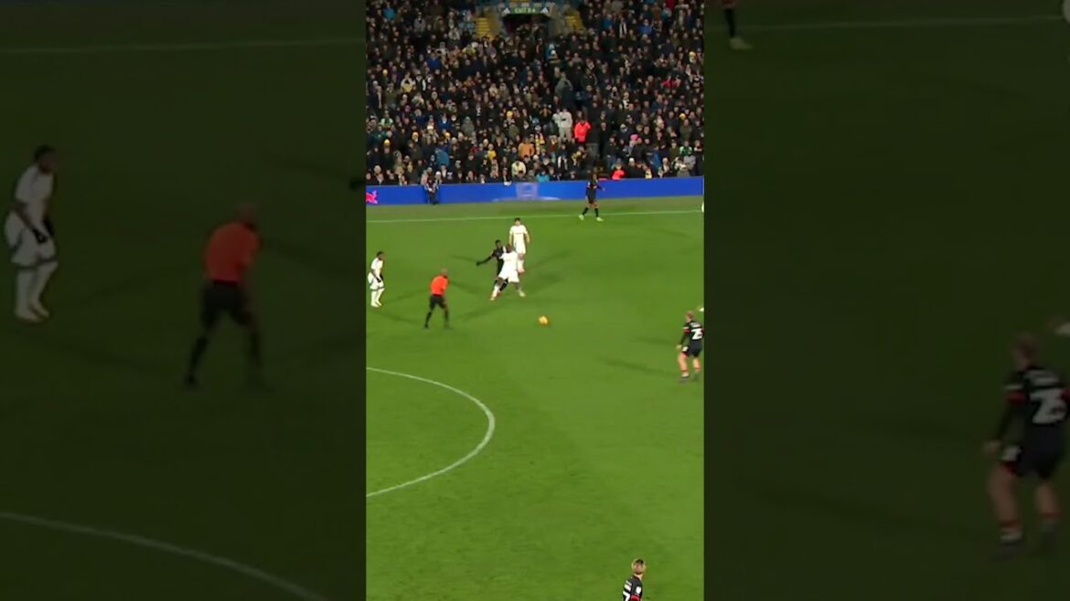 🇯🇵 Ao Tanaka does it again...Player of the Match 🏆 #lufc