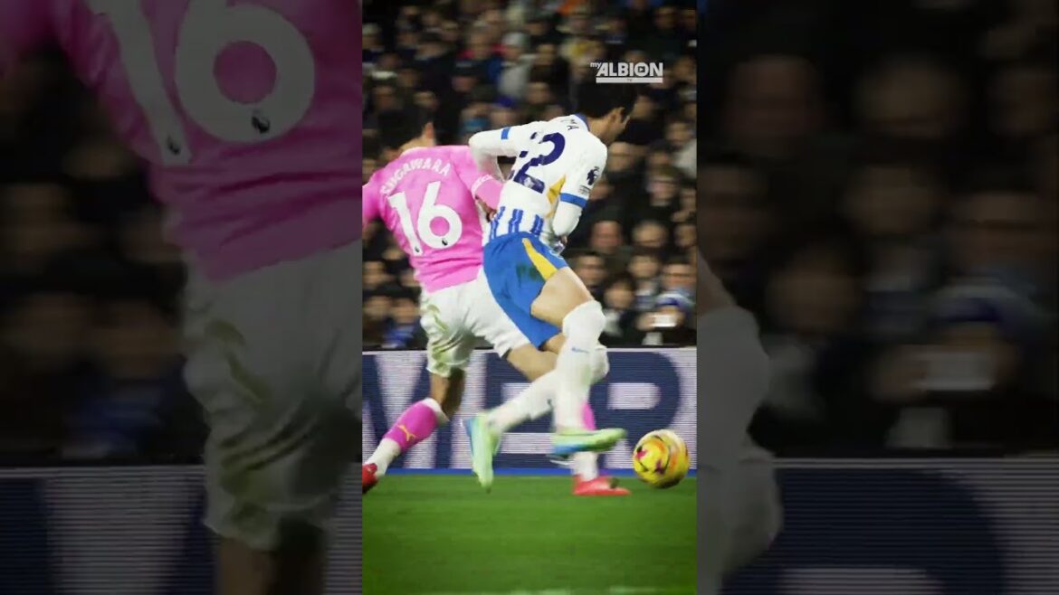 Kaoru Mitoma vs Yukinari Sugawara 🇯🇵 (Kaoru Mitoma vs Yusei Sugawara) #brightonandhovealbion #mitoma