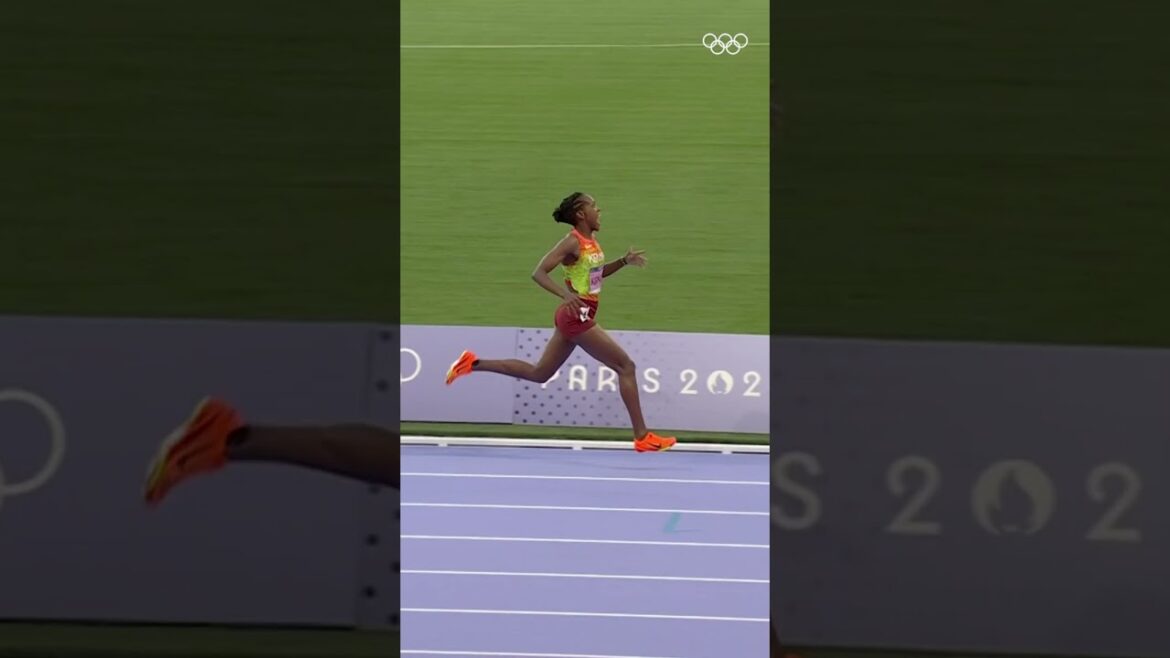 Faith Kipyegon clinched her third consecutive Olympic gold in the women's 1500m at #Paris2024. 🥇🥇🥇
