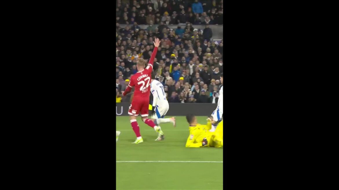 Lovely assist from Ao Tanaka 🇯🇵 🤌 #lufc