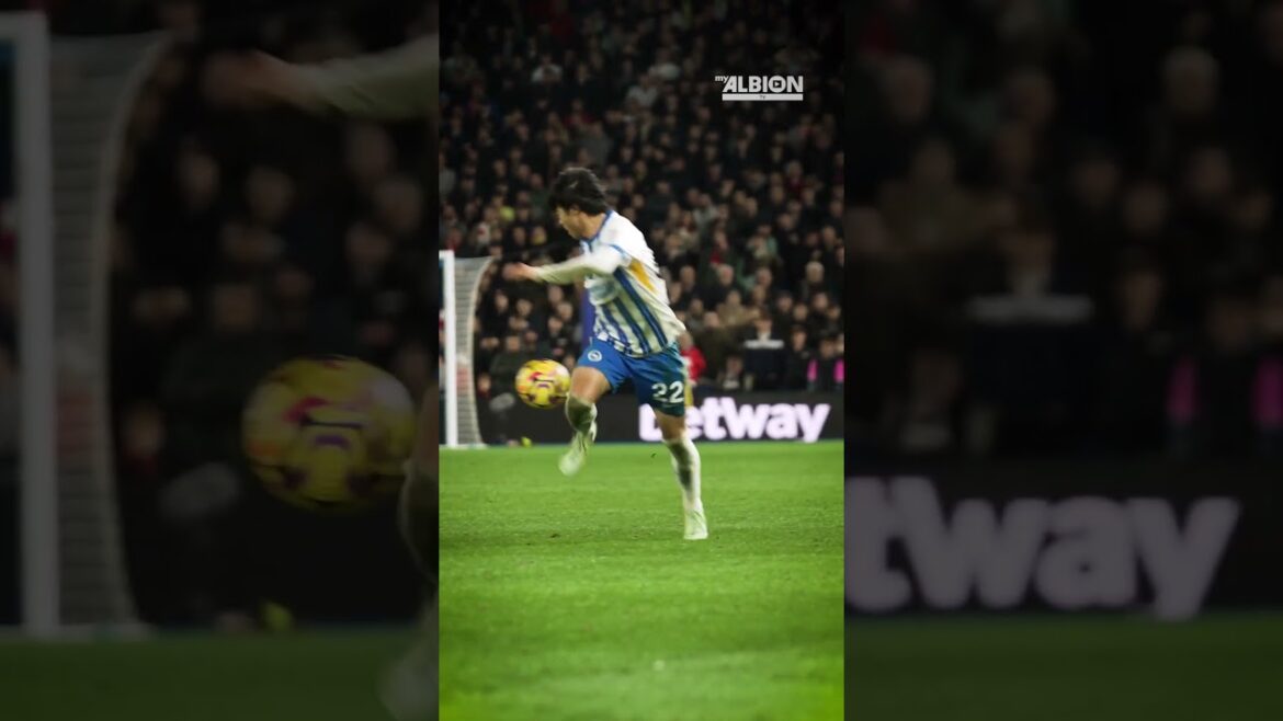 Mitoma Elegance 💫 #brightonandhovealbion #mitoma