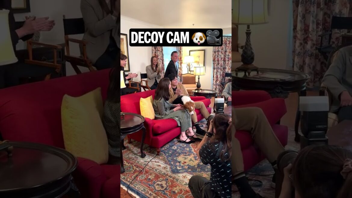 Shohei Ohtani is your 2024 NL MVP ... and Decoy ain't having it 🤣