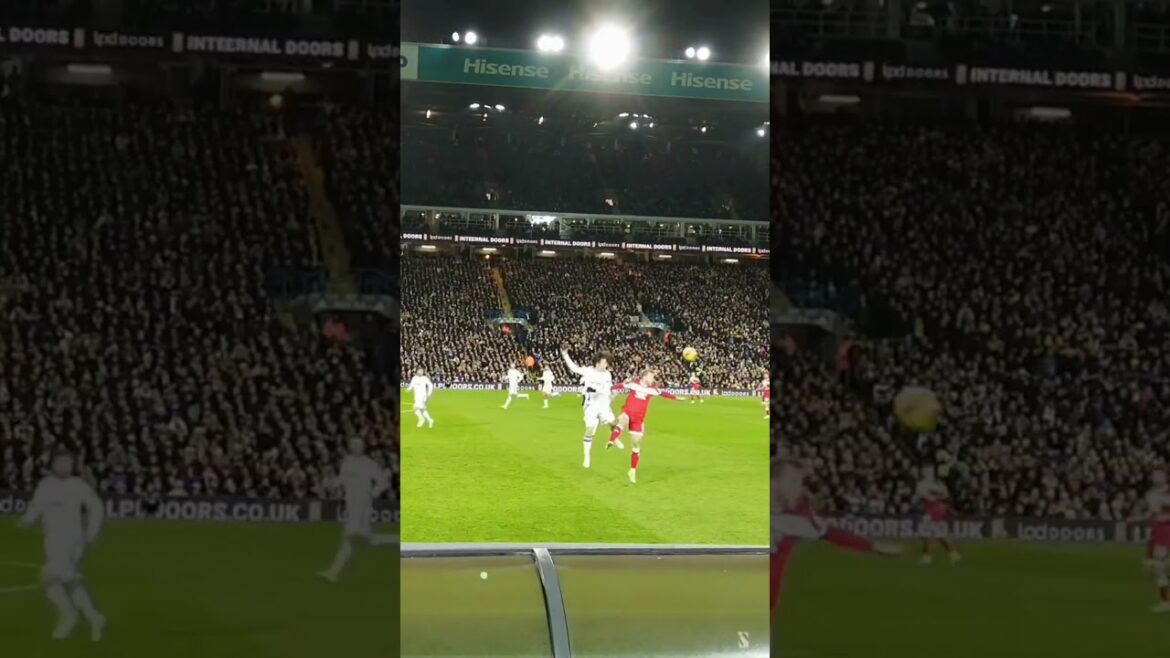 Leeds United Ao Tanaka at Elland Road against Middlesbrough not much get's by him. #leedsunited #mot