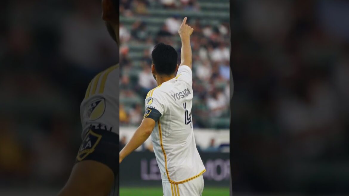 Maya Yoshida is the 2024 LA Galaxy Defender of the Year Maya Yoshida is the 2024 LA Galaxy Defender of the Year