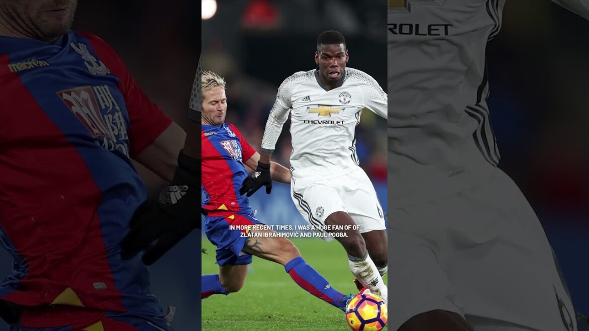 Steven Gerrard or Paul Pogba❓Daichi Kamada's Premier League idols #cpfc #crystalpalace #japan