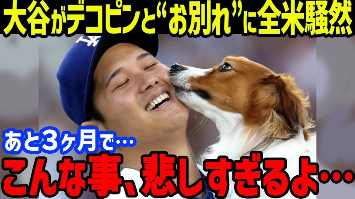 Shohei Otani's ``unexpected farewell'' with Decopin causes an uproar across the nation... Also includes the year with his wife Mamiko and prospects for the opening game in 2025[Overseas Reactions/MLB]