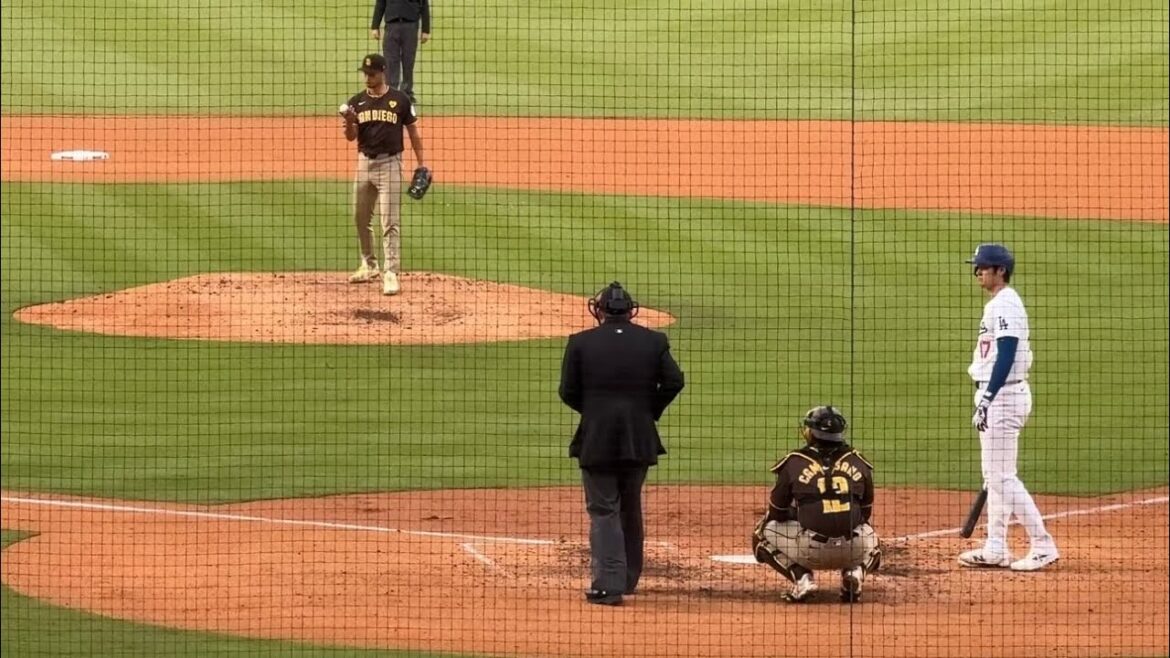 [4 million views on short]Pitcher Darvish confirms that the ball is suitable for Ohtani