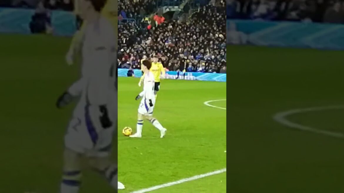 Leeds United Ao Tanaka at Elland Road against Oxford United. Best summer signing ? #leedsunited #mot