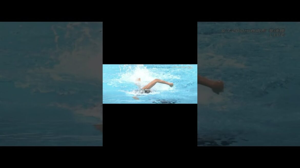 2024 JAPAN WINNERS 5 2024 JAPAN WINNERS 5