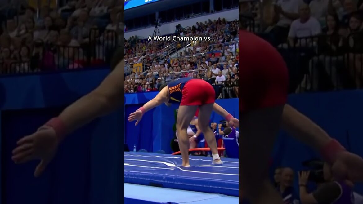 Maybe one day the World Champ will upgrade to Olympic Champ💪 #gymnastics #vault #olympics